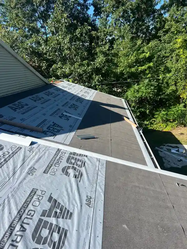 Ice Dams & Roof Snow